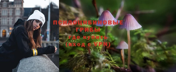 ALPHA PVP Аркадак